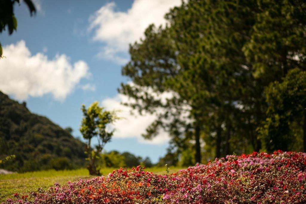 Sam Tuyen Lam Resort Dalat Exterior foto