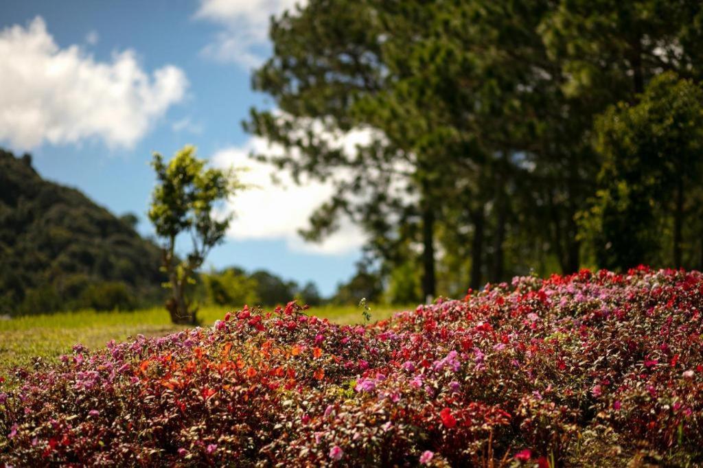 Sam Tuyen Lam Resort Dalat Exterior foto